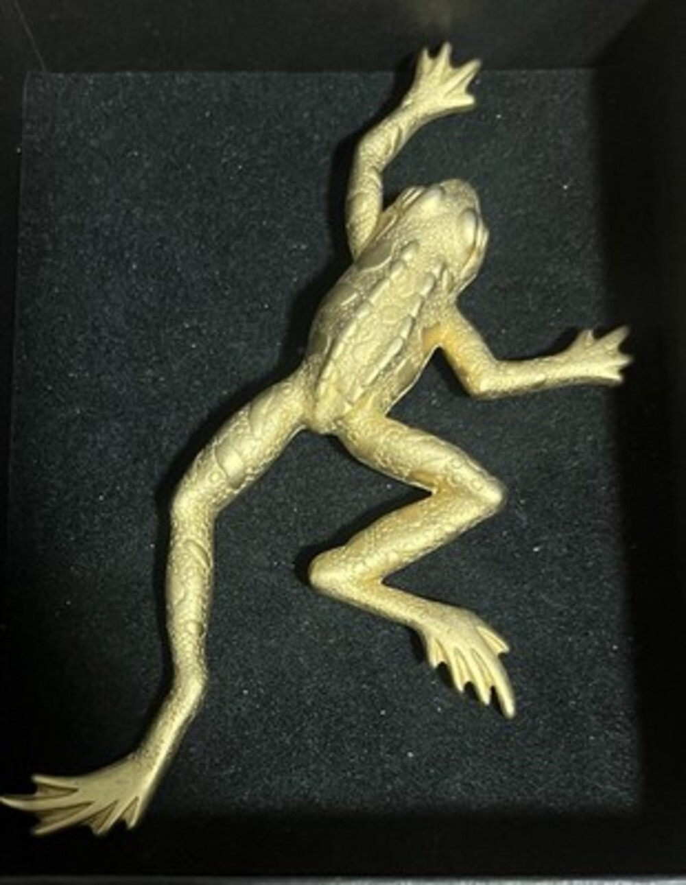 Huge Vintage Gold Tone Frog Statement Brooch J.J. Reptile Lizard